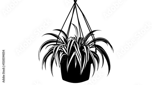 Spider plant with arching leaves in a macrame hanger, Vectorized Plant Art
