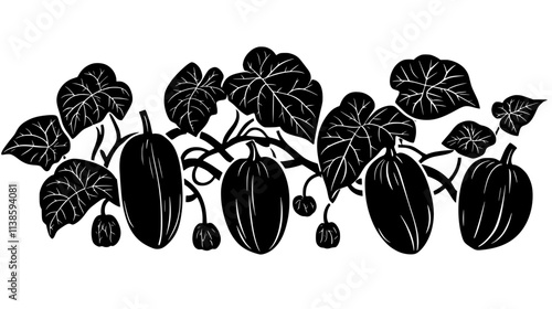Squash plants with large leaves and developing fruit, Vectorized Plant Art