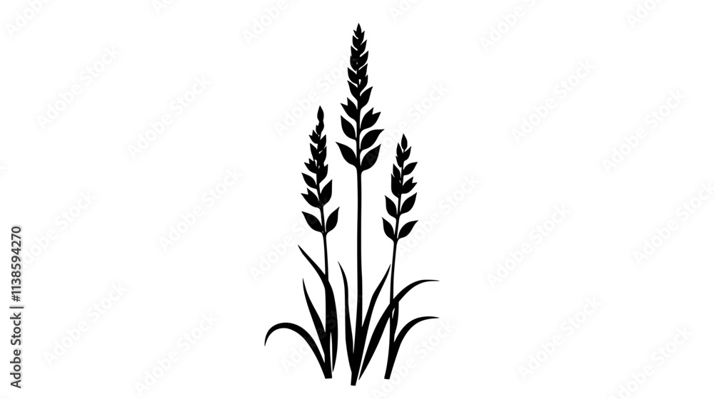 Fototapeta premium A tall stalk with delicate flowers forming a conical shape, Vectorized Plant Art