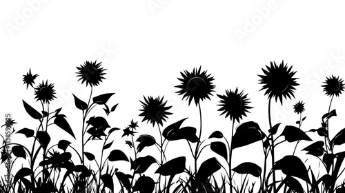 Sunflowers reaching toward the sky in a field, tall and vibrant in summer, Vectorized Plant Art