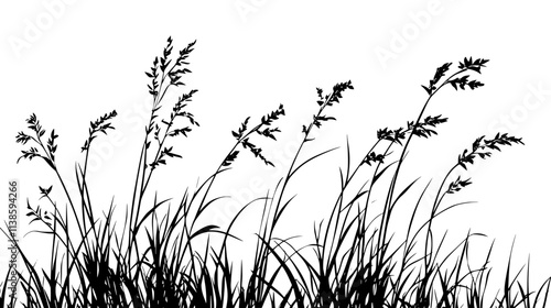 Switchgrass with tall stems and airy seed heads swaying in a breezy field, Vectorized Plant Art