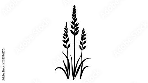 A tall stalk with delicate flowers forming a conical shape, Vectorized Plant Art