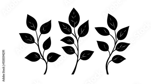 Telegraph plant leaves rotating in response to light, Vectorized Plant Art