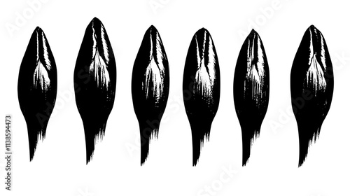 Time-lapse sequence showing corpse flower opening stages, Vectorized Plant Art