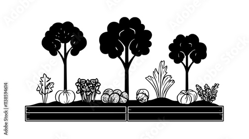 Vegetable garden with raised beds in backyard, Vectorized Plant Art