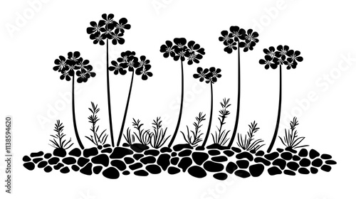 Verbena bonariensis with tall stems in a gravel border, Vectorized Plant Art