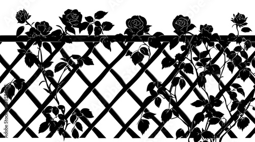 A view of a climbing rose vine growing on a trellis outdoors, Vectorized Plant Art