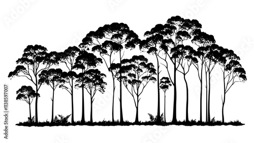 Eucalyptus tree dwarfing native plants in a grove, Plant Illustration