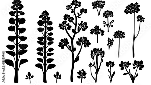 Euphorbia plants with milky sap for rubber production, Plant Illustration