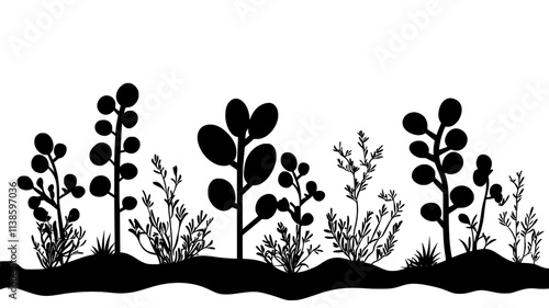 Euphorbia plants with unusual shapes in a dry environment, Plant Illustration