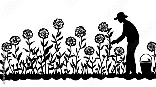 Farmer harvesting fresh-cut zinnias from field, Plant Illustration