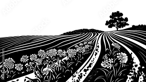Field of various flowers grown under organic farming practices, Plant Illustration