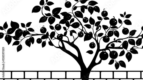 Fig tree laden with fruit in walled garden, Plant Illustration