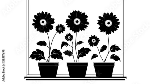 Gerbera daisy plant with flowers in a kitchen windowsill, Plant Illustration