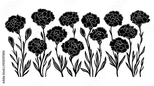 Group of border carnations arranged neatly in a flowerbed, Plant Illustration