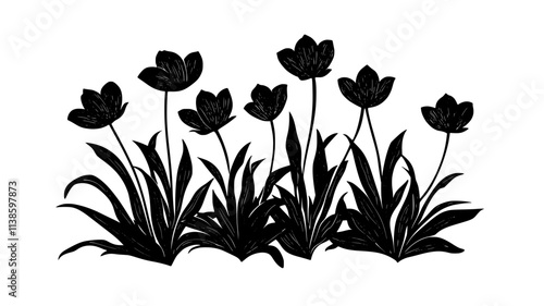 A group of fringed tulips planted together in a landscaped garden, Plant Illustration