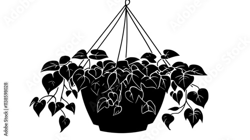 Hanging basket with trailing philodendron vines in corner, Plant Illustration