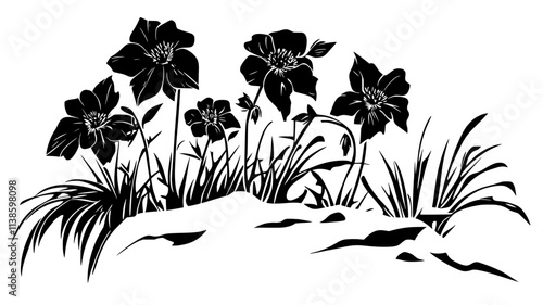 Hellebore flowers pushing through snow in a garden, Plant Illustration