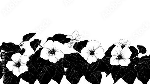 Impatiens filling a shady border beneath mature trees, Plant Illustration