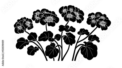 Kalanchoe with scalloped leaves and clusters of small flowers on stems, Plant Illustration