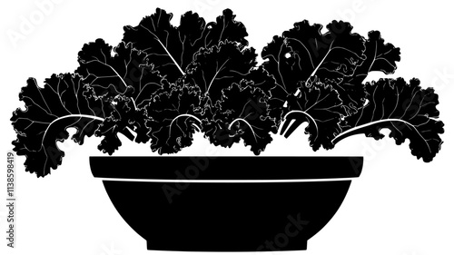 Kale plants with curly leaves in a container garden, Plant Illustration
