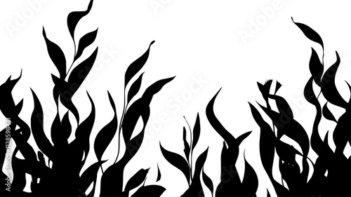 Kelp forest reaching towards the surface from the ocean floor, Plant Illustration