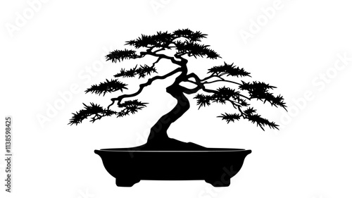 Juniper bonsai with cascading branches on a display stand, Plant Illustration