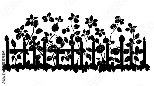 Living fence made of fruit-bearing shrubs and nitrogen-fixing trees, Plant Illustration