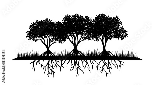 Mangrove trees with prop roots in a coastal swamp, Plant Illustration
