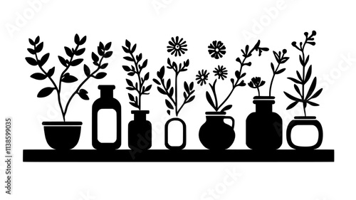 Medicinal flowers drying on a wooden rack in a kitchen, Plant Illustration