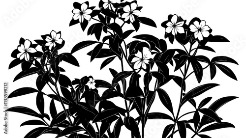 Oleander shrub covered in blooms with narrow leaves, Plant Illustration