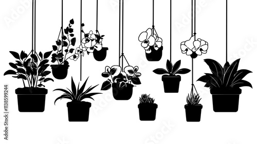 Orchids blooming in a greenhouse nursery setting, Plant Illustration