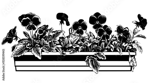 Pansies blooming despite frost in a window box, Plant Illustration