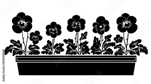 Pansies planted in a window box attached to a house, Plant Illustration