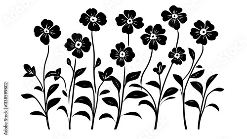 Phlox plants covered in clusters of flowers in a border, Plant Illustration