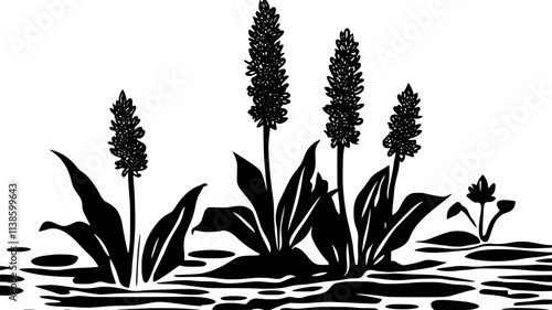Pickerelweed with purple flower spikes emerging from a water garden, Plant Illustration