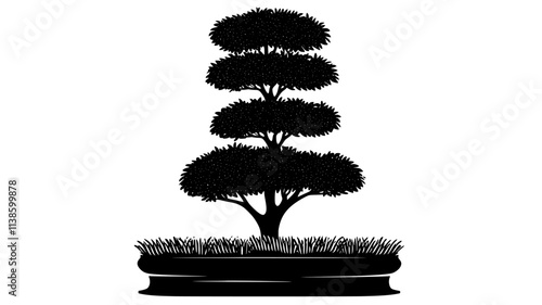 Podocarpus shrub shaped into topiary in a garden, Plant Illustration