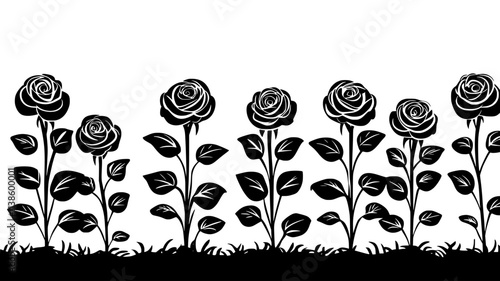 Rose bushes in rows at a commercial growing facility, Plant Illustration