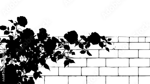Rose bushes climbing a trellis against a brick wall, Plant Illustration