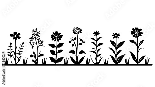 A row of flowering plants in a garden, known for attracting pollinators, Plant Illustration