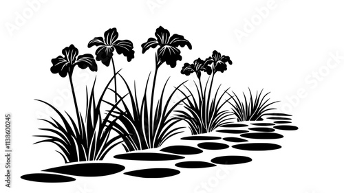 Row of Siberian irises growing along a garden pathway, Plant Illustration