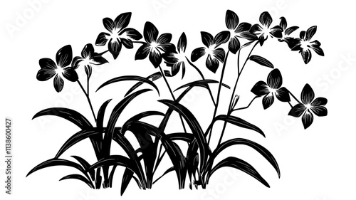 Several Dendrobium orchids growing together in a naturally humid environment, Plant Illustration