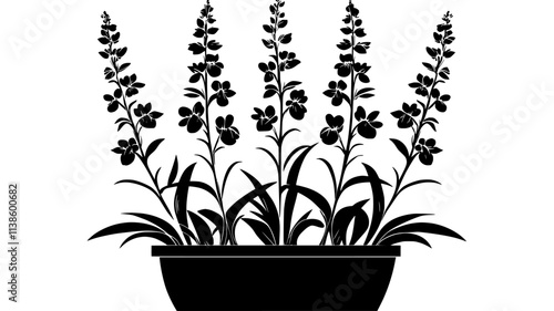 Snapdragon plants with spikes of flowers in a container, Plant Illustration