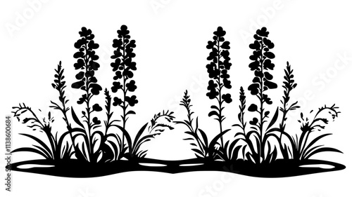 Snapdragons growing in a formal garden with a symmetrical layout, Plant Illustration