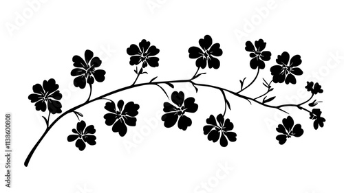 A stem with multiple small, delicate flowers growing in clusters along its length, Plant Illustration