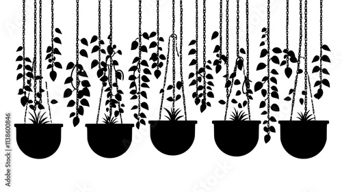 String of pearls with bead-like leaves cascading from a hanging planter, Plant Illustration