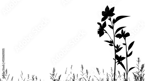 Tall stalk with large, brightly colored flowers in a prairie field, Plant Illustration
