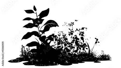 Swamp milkweed growing in a rain garden with native plants, Plant Illustration