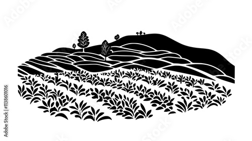 Tea bushes covering a hillside in neat rows, Plant Illustration