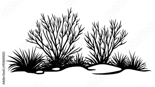 Tamarisk shrubs near a salt lake in a desert, Plant Illustration